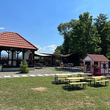 Pensiunea Casa cu Flori Baia Mare Exterior foto