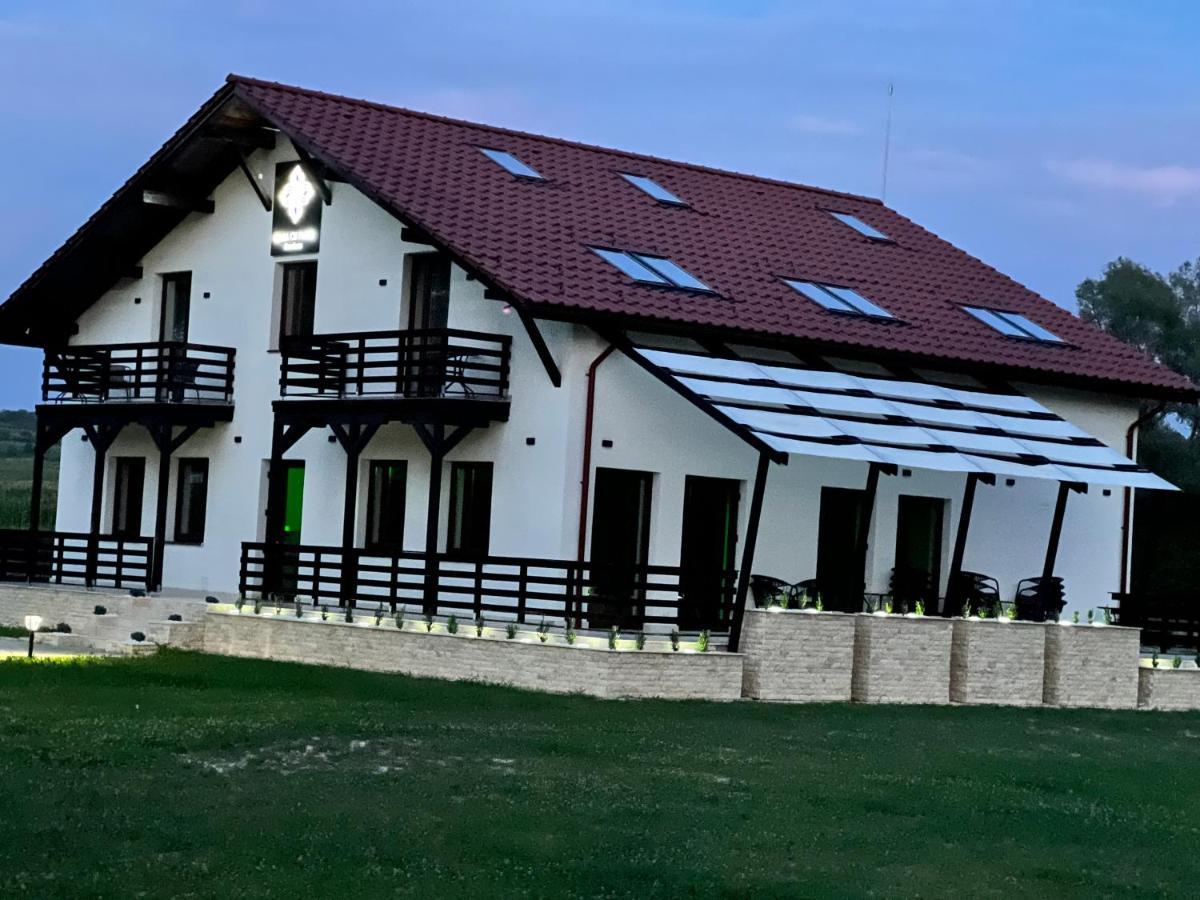 Pensiunea Casa cu Flori Baia Mare Exterior foto