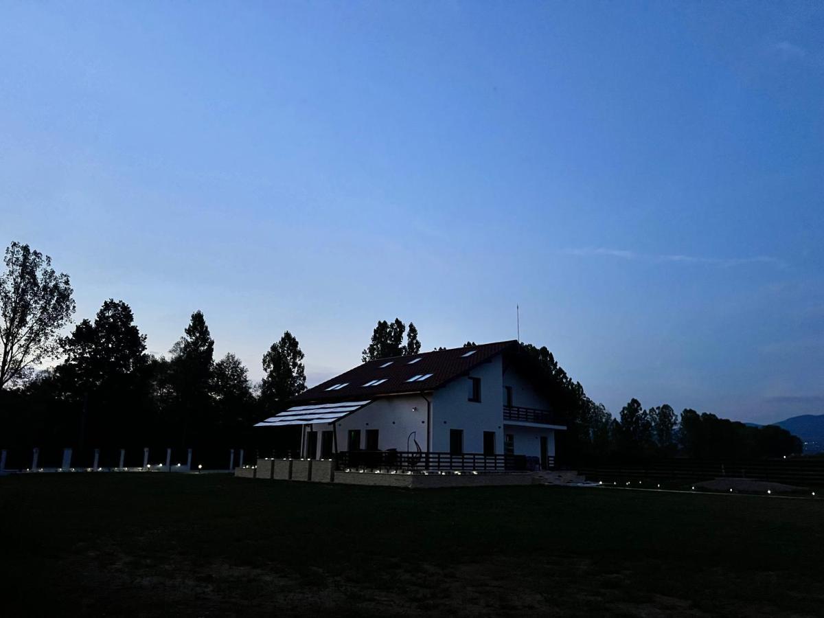 Pensiunea Casa cu Flori Baia Mare Exterior foto