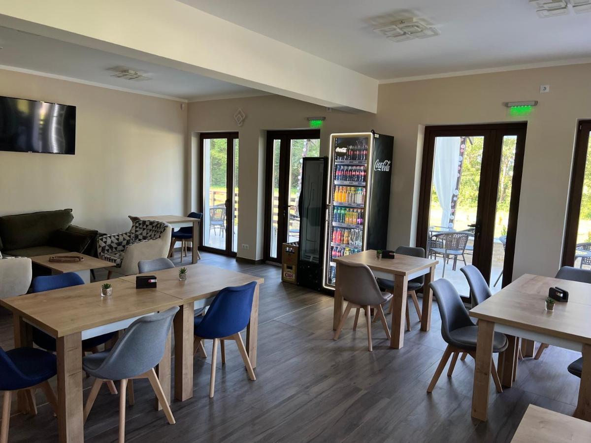 Pensiunea Casa cu Flori Baia Mare Exterior foto