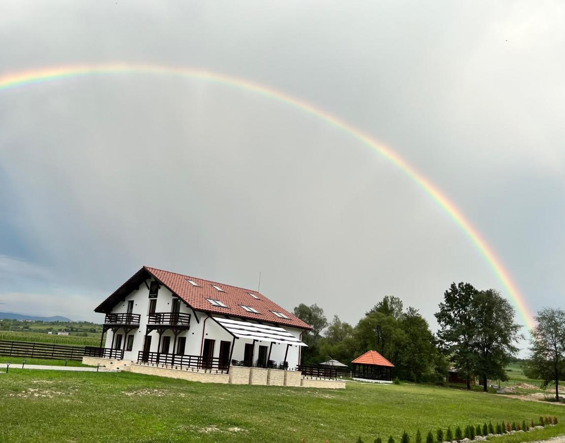 Pensiunea Casa cu Flori Baia Mare Exterior foto