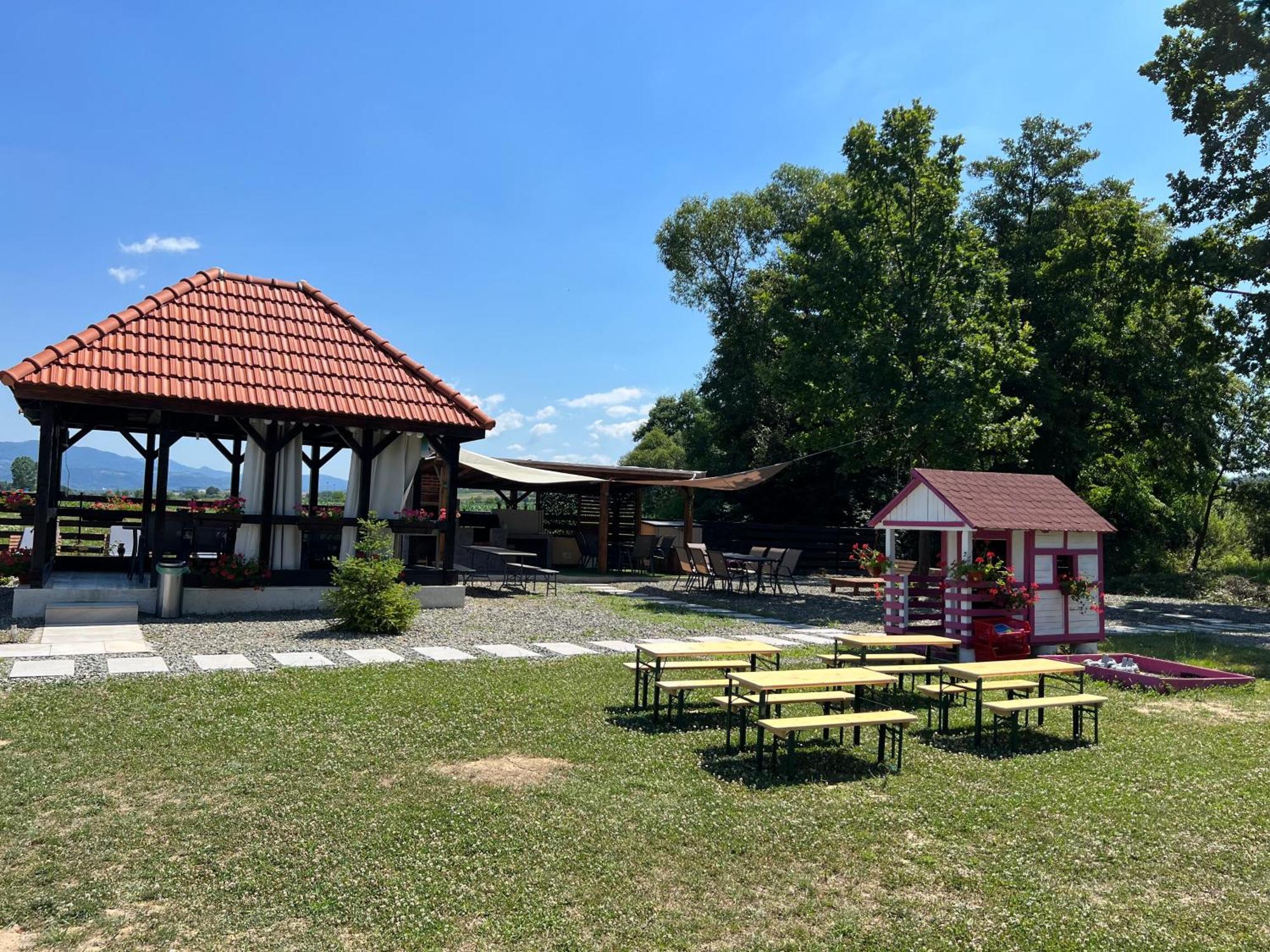 Pensiunea Casa cu Flori Baia Mare Exterior foto