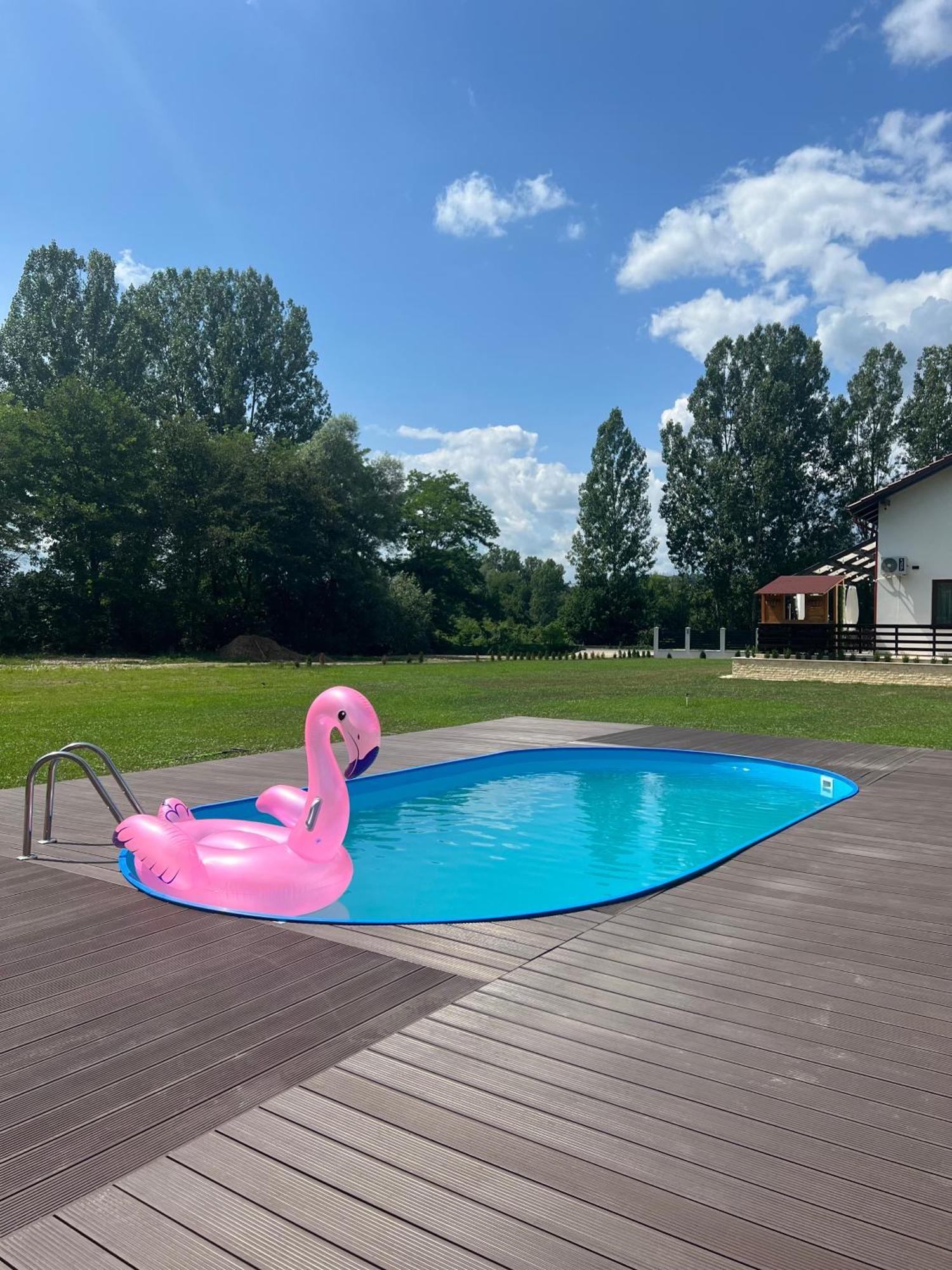 Pensiunea Casa cu Flori Baia Mare Exterior foto