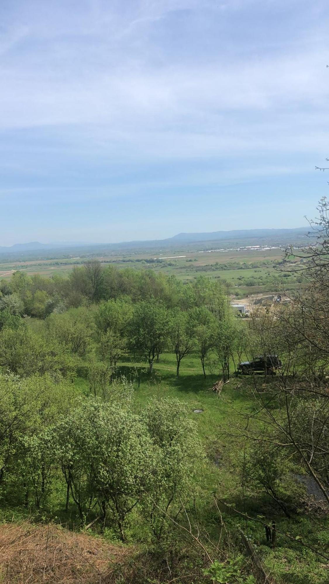 Pensiunea Casa cu Flori Baia Mare Exterior foto